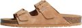 Toni Pons Muiltjes 'Ger-QT' camel - Camel
