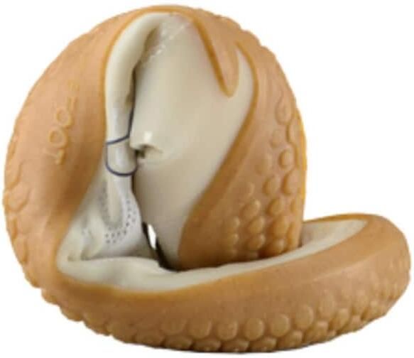 Vivo Barefoot Lage schoen 'MOTUS STRENGTH II' wit - Foto 5