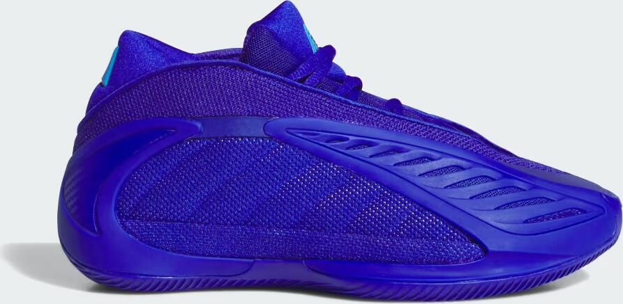 Adidas ANTHONY EDWARDS 2 J schoenen