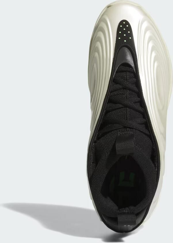 Adidas HARDEN VOLUME 10 Schoenen