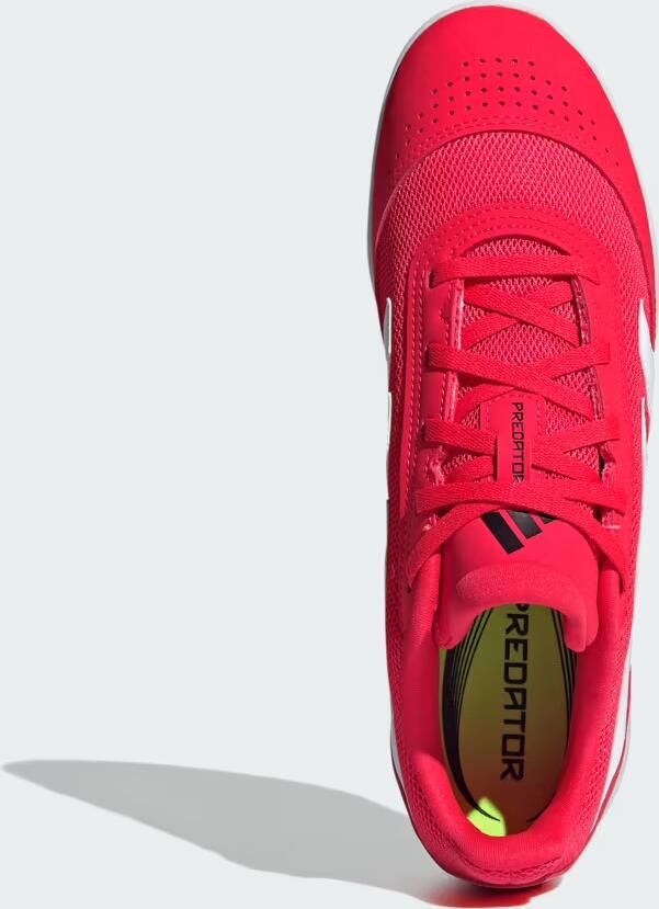 Adidas Predator Club In Sala zaalschoenen rood 1 3 Uitneembare zool - Foto 4