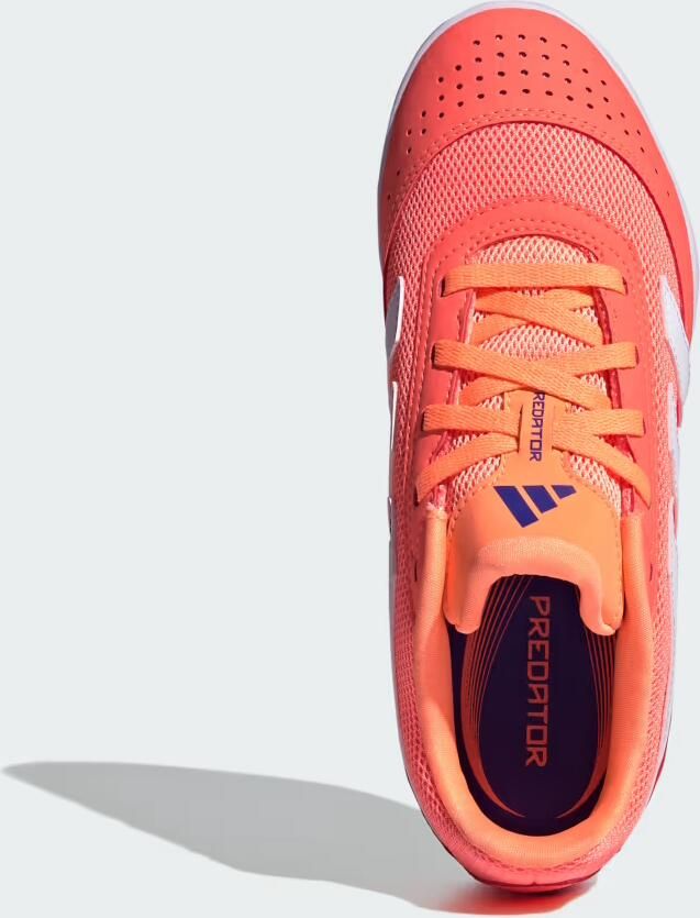 Adidas Perfor ce Predator Club Indoor Sala Voetbalschoenen Kids Kinderen Oranje - Foto 3
