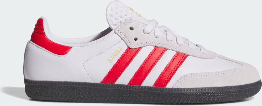 Adidas SAMBA ADV schoenen