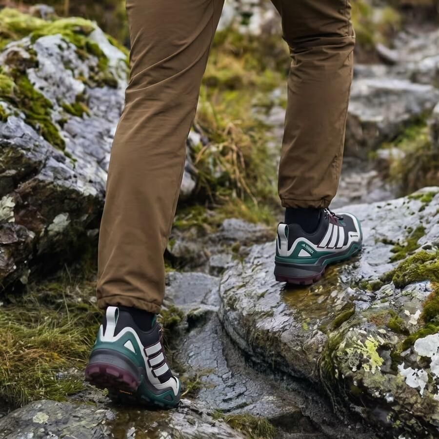 Adidas Terrex Skychaser GTX Multisportschoenen 2 3 grijs - Foto 4