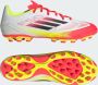 Adidas Perfor ce F50 League Artificial Grass Voetbalschoenen Unisex Wit - Thumbnail 2