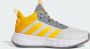 Adidas Ownthegame 2.0 Basketbalschoenen Grijs 1 3 Man - Thumbnail 2