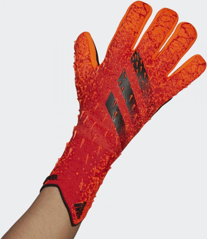 Adidas predator goalkeeper pro keepershandschoenen zwart Schoenen