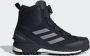 Adidas TERREX Conrax BOA RAIN.RDY Hiking Schoenen Unisex Zwart - Thumbnail 1