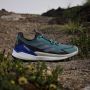 Adidas Terrex Free Hiker 2.0 Low GORE-TEX Hiking Schoenen - Thumbnail 1