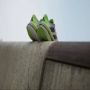 Adidas Adistar Byd Hardloopschoenen - Thumbnail 3