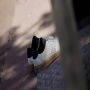 Adidas Advantage 2.0 Schoenen - Thumbnail 2