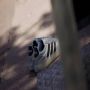 ADIDAS SPORTSWEAR Sneakers met vetersluiting model 'BARREDA' - Thumbnail 37