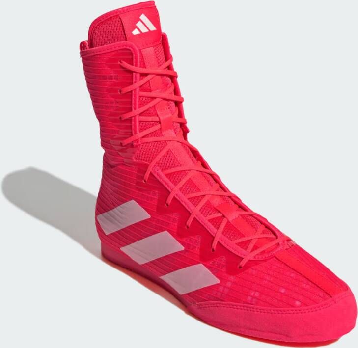 Adidas Box Hog 4 Schoenen