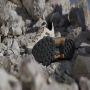 Adidas TERREX Eastrail 2.0 Hiking Schoenen Unisex Beige - Thumbnail 8
