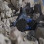 Adidas TERREX Eastrail 2.0 Mid RAIN.RDY Hiking Schoenen Unisex Blauw - Thumbnail 4