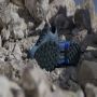 Adidas TERREX Eastrail 2.0 RAIN.RDY Hiking Schoenen Unisex Blauw - Thumbnail 6