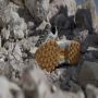 Adidas TERREX Eastrail 2.0 RAIN.RDY Hiking Schoenen Unisex Beige - Thumbnail 4