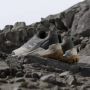 Adidas TERREX Eastrail 2.0 RAIN.RDY Hiking Schoenen Unisex Beige - Thumbnail 8