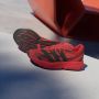 Adidas Sportswear Lightblaze Sneaker Running in rood formaten: 44 2 3 - Thumbnail 24