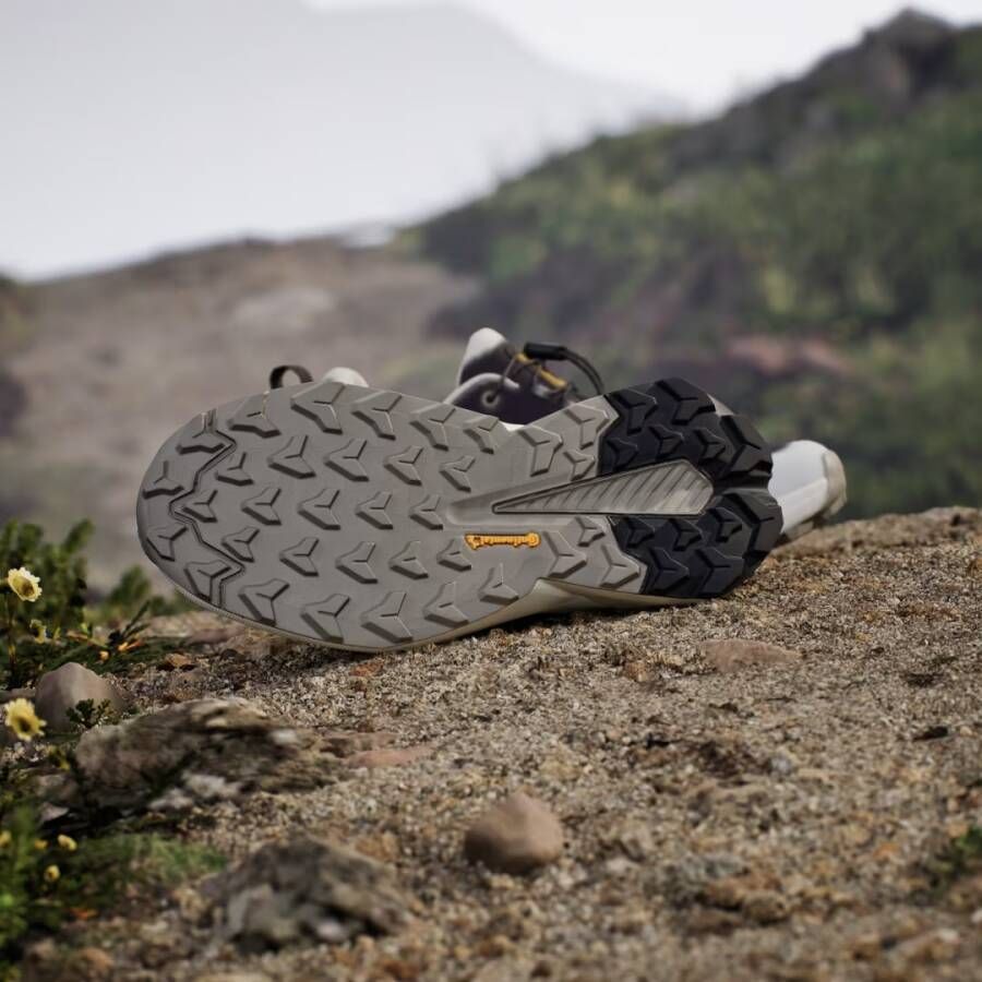 Adidas NATIONAL GEOGRAPHIC TERREX TRAILMAKER 2 GORE-TEX HIKINGSCHOENEN