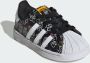 Adidas Originals Sneakers 'James Jarvis Superstar' - Thumbnail 5