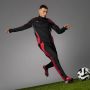 Adidas Predator Elite Fold-Over Tongue Firm Ground BWR Voetbalschoenen - Thumbnail 6