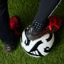 Adidas Predator Elite YotS Fold-Over Tongue Firm Ground Voetbalschoenen - Thumbnail 6