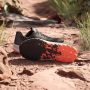 Adidas TERREX Runningschoenen TERREX AGRAVIC FLOW 2.0 TRAILRUNNING - Thumbnail 9