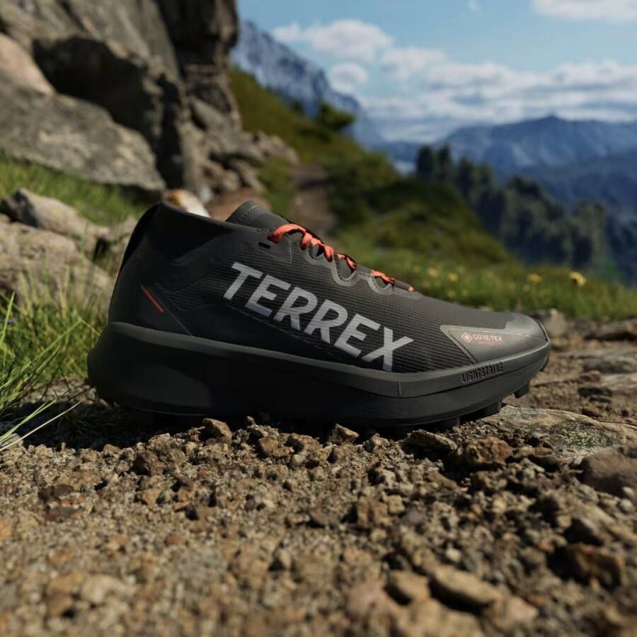 Adidas Terrex Agravic GTX Trail Running Schoenen