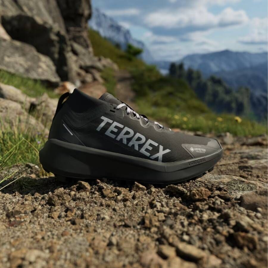 Adidas Terrex Agravic GTX Trail Running Schoenen