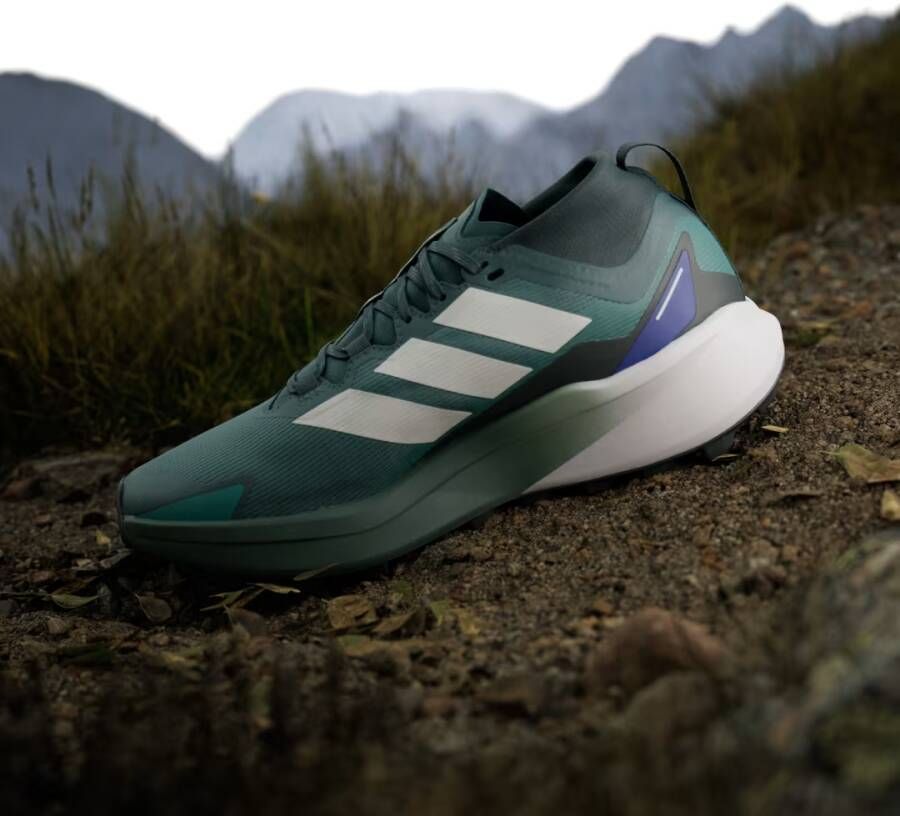 Adidas Terrex Agravic GTX Trail Running Schoenen
