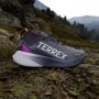 Adidas Terrex Women's Terrex Agravic GTX Trail Trailrunningschoenen 2 3 grijs - Thumbnail 3