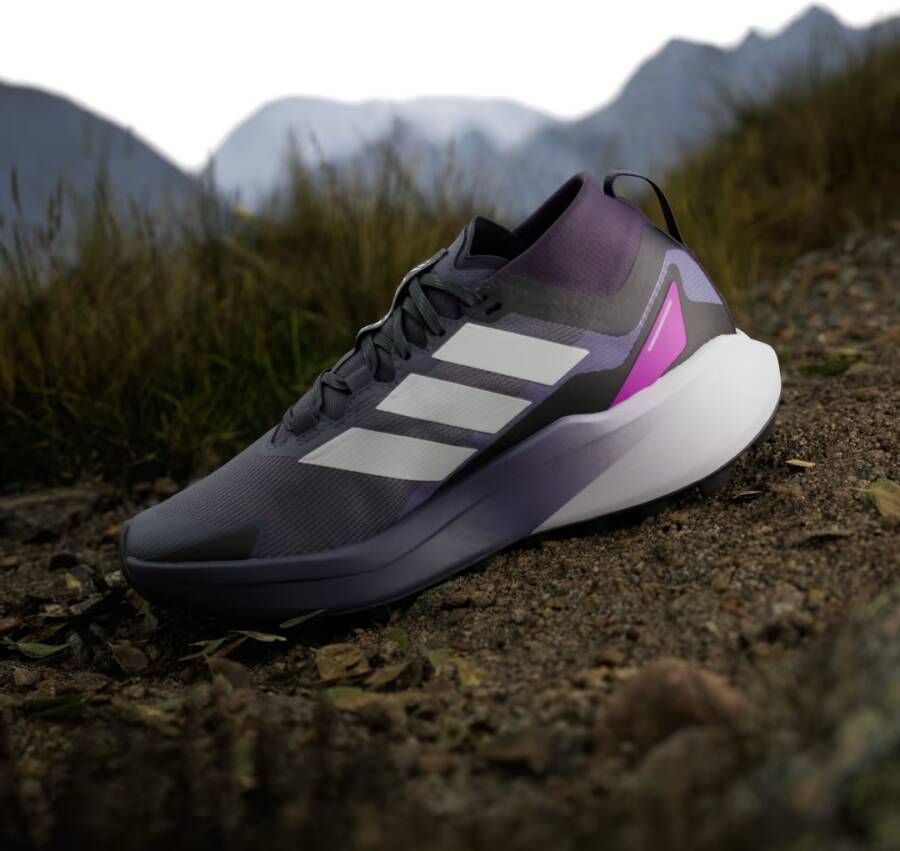 Adidas Terrex Agravic GTX Trail Running Schoenen