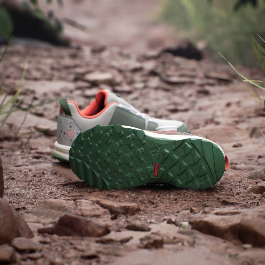 Adidas Terrex Disney Agravic BOA Trail Running Schoenen