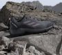 Adidas Terrex Eastrail wandelschoenen grijs olijfgroen - Thumbnail 5