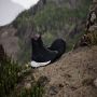 Adidas TERREX Free Hiker 2.0 GORE-TEX Hiking Schoenen Dames Zwart - Thumbnail 4