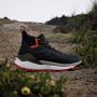 Adidas TERREX Free Hiker 2.0 GORE-TEX Hiking Schoenen Unisex Grijs - Thumbnail 6