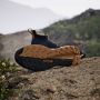 Adidas TERREX Wandelschoenen TERREX FREE HIKER 2.0 - Thumbnail 41