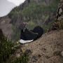 Adidas TERREX Free Hiker 2.0 Low GORE-TEX Hiking Schoenen Dames Zwart - Thumbnail 4