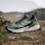 Adidas Terrex Women's Terrex Free Hiker 2 Low GTX Multisportschoenen grijs - Thumbnail 9