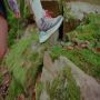 Adidas TERREX Free Hiker GORE-TEX Hiking Schoenen 2.0 - Thumbnail 3