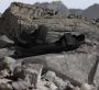 Adidas TERREX Outdoorsandalen TERREX HYDROTERRA SANDALE - Thumbnail 22