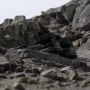 Adidas TERREX Outdoorsandalen TERREX HYDROTERRA SANDALE - Thumbnail 25