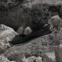 Adidas TERREX Outdoorsandalen TERREX HYDROTERRA SANDALE - Thumbnail 26