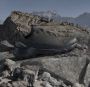 Adidas Terrex Skychaser AX5 GORE-TEX Hikingschoenen - Thumbnail 2