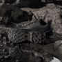 Adidas Terrex Skychaser AX5 GORE-TEX Hikingschoenen - Thumbnail 3
