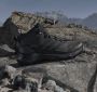 Adidas Terrex Women's Terrex Skychaser AX5 Mid GORE-TEX Wandelschoenen 2 3 grijs zwart - Thumbnail 4