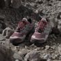 Adidas Terrex Women's Skychaser GTX Multisportschoenen grijs - Thumbnail 5