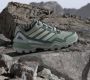 Adidas Terrex Women's Skychaser GTX Multisportschoenen grijs - Thumbnail 3