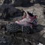 Adidas Terrex Skychaser Mid Gore-Tex Wandelschoen Dames Paars - Thumbnail 5